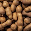 Tamarind